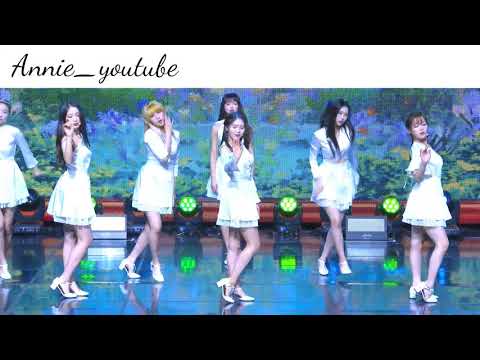 오마이걸 다섯 번째 계절 거울모드 Oh my girl the fifth seaon mirror mod SSFWL mirror mod Video