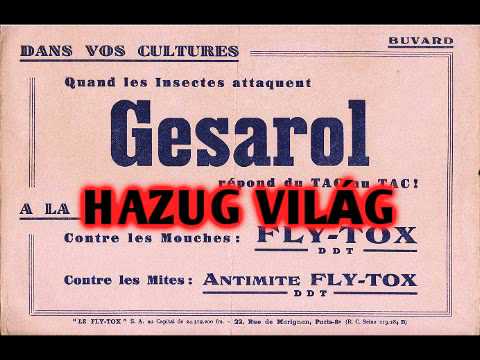 Gesarol - Hazug világ