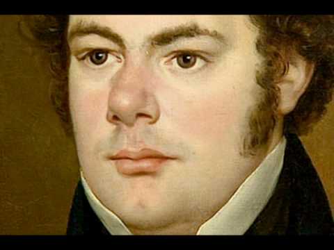 Schubert - String Quartet No. 14 in D minor (Death and the Maiden) - II. Andante con moto