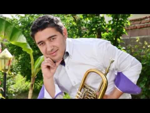 Orkestar  Nebojse Sejdica - nebojsin vez album 2013