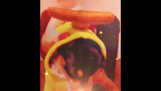 じんちゃんのショートダンスシリーズ(帰りたくなったよ) #歌ってみた #いきものがかり #チワワ