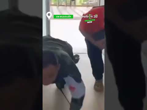 คลิกเพื่อดูคลิปวิดีโอ