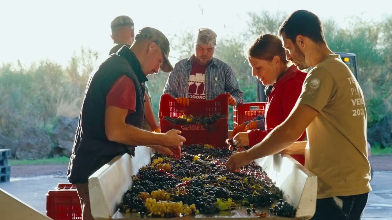 Sciaranuova Etna Winery