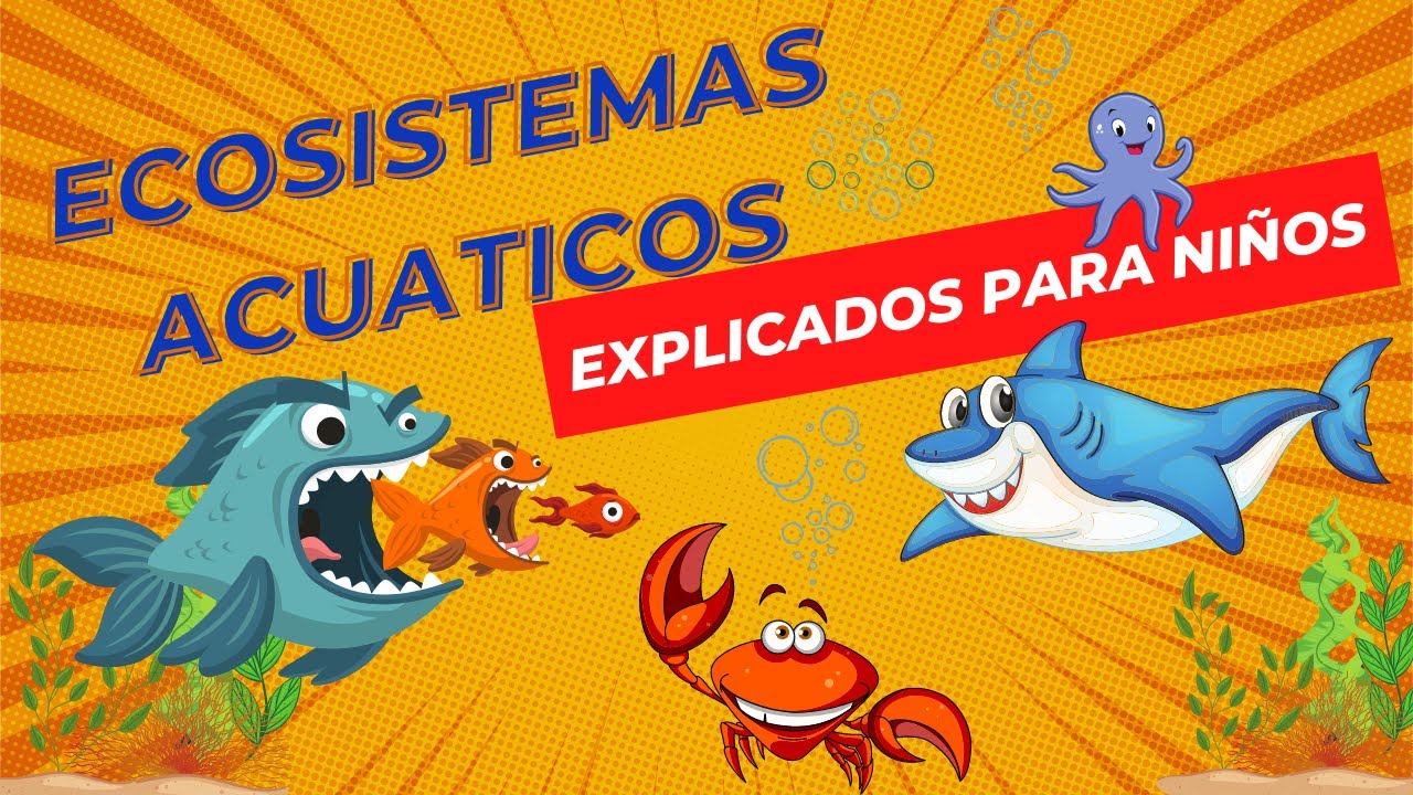 Ecosistemas Acuáticos | Videos Educativos Para Niños