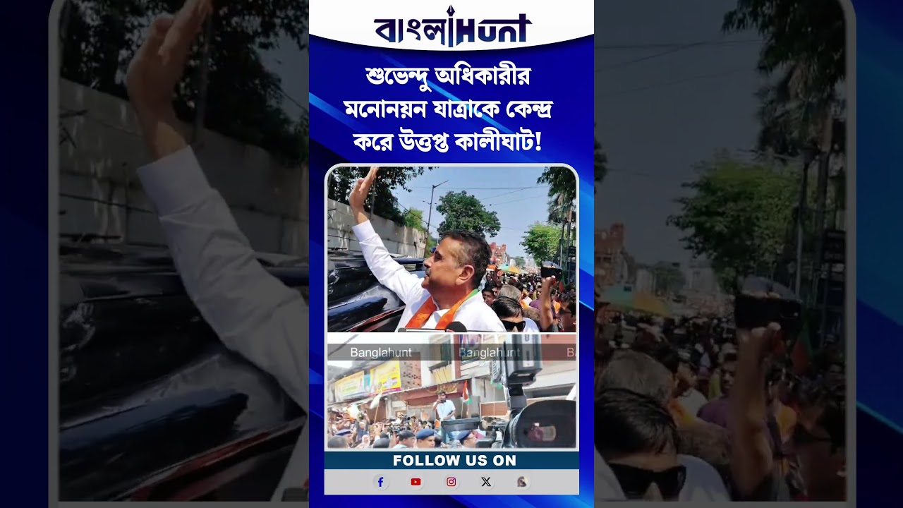 The Art of Baking: From Classic Bread to Artisan Pastries