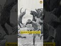 How Moplah Rebellion Turned Into Anti Hindu Massacre Explains Anand Ranganathan