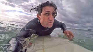 Surfing with GREAT WHITE SHARKS