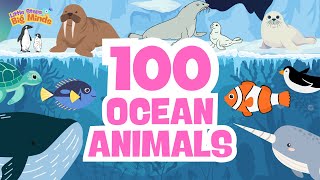 100 Ocean Animals for Kids | Learn the Different Creatures under the Sea gameplay video by DJ, 14:10 duration