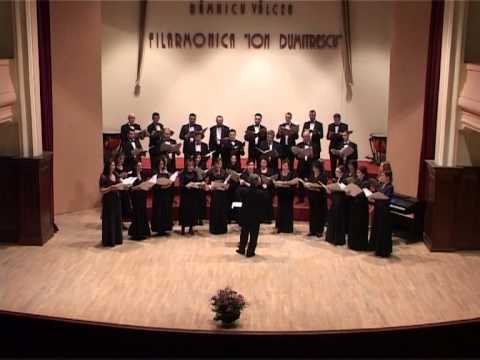 Corul Euphonia Rm Valcea