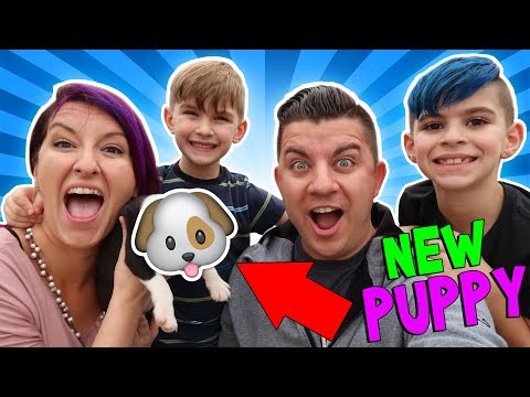 ¡Sorprendimos a los niños con un nuevo cachorro!