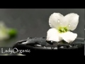 Chante Moore - My Eyes