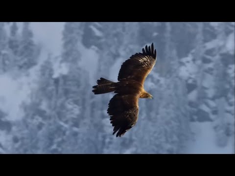 DJ Artak,  Sone Silver - Soul