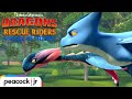 Racing The World S Fastest Dragon DRAGONS RESCUE RIDERS HEROES OF THE SKY