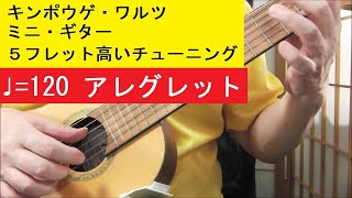 ♩=120 金鳳花／キンポウゲ・ワルツ（ビックフォード）：ギタレレ・チューニングのミニギター Valencia VC350 ：Buttercup Waltz：guitalele chuning