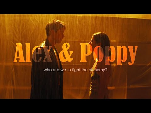Alex & Poppy | The Alchemy (People We Meet On Vacation)