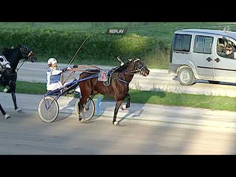 Aversa trotto 31 Ottobre 2020 - 4° Corsa