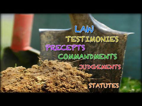 What Are the Differences of Law, Testimonies, Precepts, Commandments, Judgements, and Statutes? Video