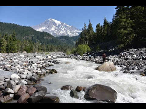 Mt Rainier National Park 8-2020 4k