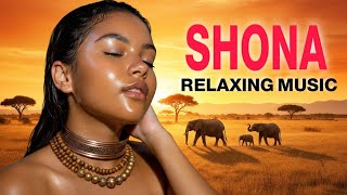 Download lagu Calming African Shona Love Songs for Relaxation, Romance & Peace  mp3