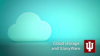 Cloud Storage and IUanyWare