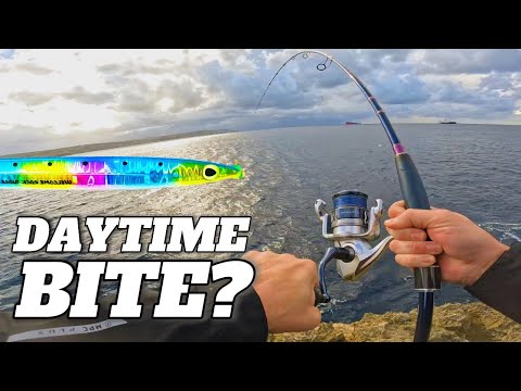 WHY You SHOULD Be Shore Jigging During THE DAY!