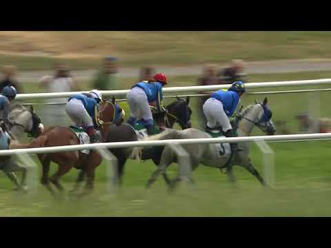 Gärdet - What A Wonder (Sara Vermeersch) 06/06/2018