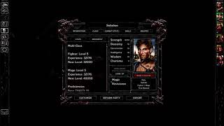 Life Goes On - Let's Play Baldur's Gate Part 115