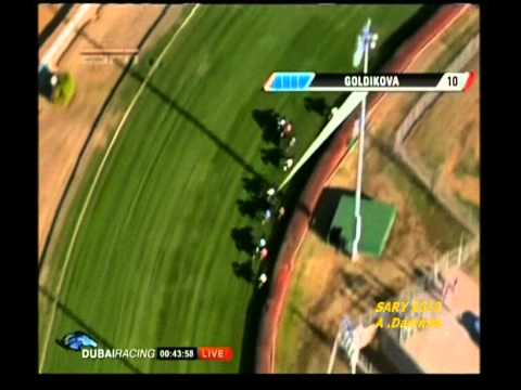 TVG Breeders Cup Mile 2010 - GOLDIKOVA
