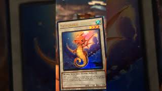 YU-GI-OH Rarity Collection 5 Pack Opening 3 #yugioh #yugiohcards #yugiohtcg