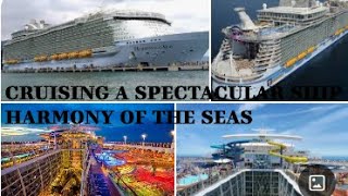 Purpose&Beyond - Cruising the Caribbean on Harmony of the Seas. #royalcaribbean #cruise #cruising