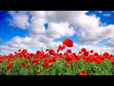 Xanakee Cog Siab Rau Koj