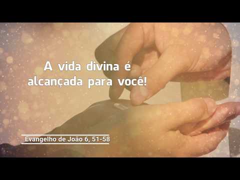 Evangelho do dia  11-06-2020