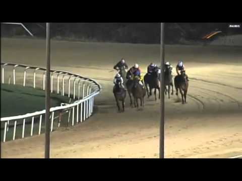 Stealing The Show und Geographical17 02 16 Dortmund