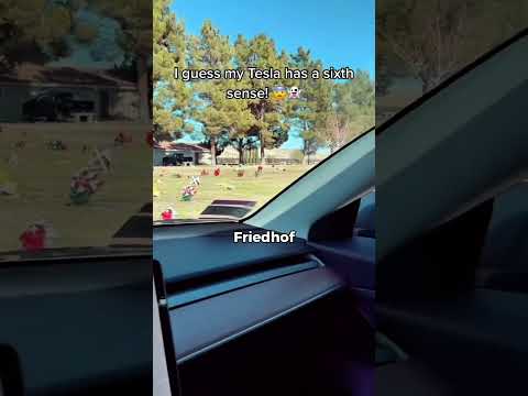 Sieht der Tesla Sensor etwas vin den wir nicht wissen😰😱