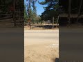 Tour Virtual