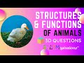 How Structures And Functions Help Animals And Plants
