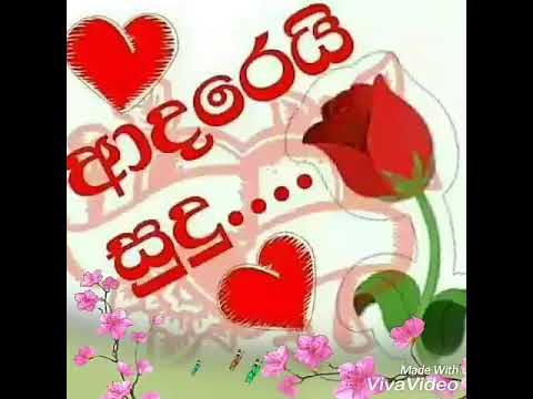 Nuba kohida kiyan segaune