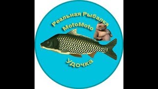 Как поймать ельца в реальной рыбалке