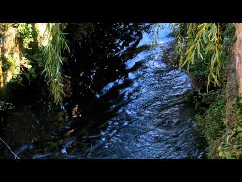 A la découverte de Sorgues