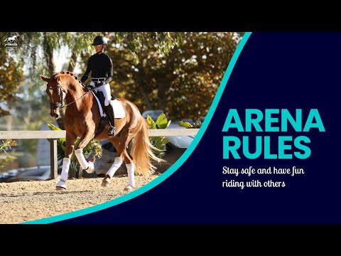 Conducir en una pista llena de gente: cinco reglas que todo jinete debe conocer