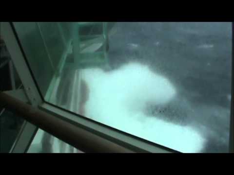 Cruise 2010, WORST, VACATION, EVER!