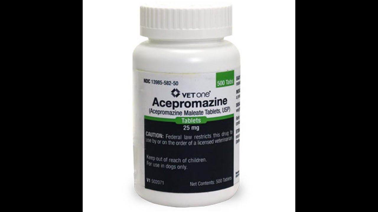 Acepromazine 25 mg - YouTube