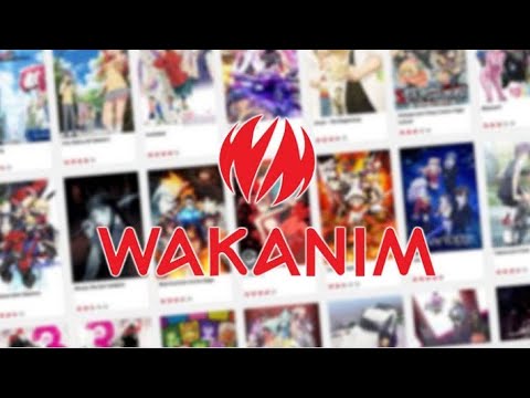 LE RETOUR DES COMPTES WAKANIM(il faut arriver le premier)