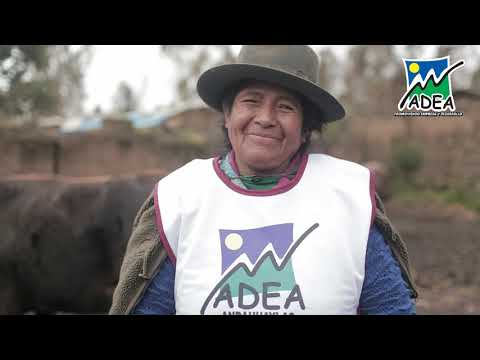 Testimonio de cliente