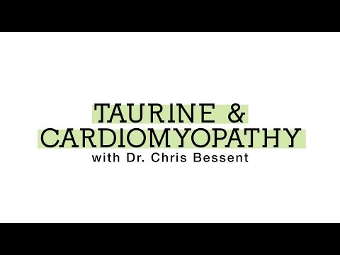 Taurine & Cardiomyopathy with Dr. Chris Bessent