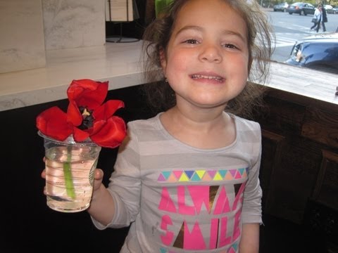 Happy Birthday Luciana!!!!!!!!