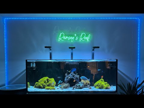 Ramsey’s Reef Ep. 4 DETRITUS 🗑️💩♻️