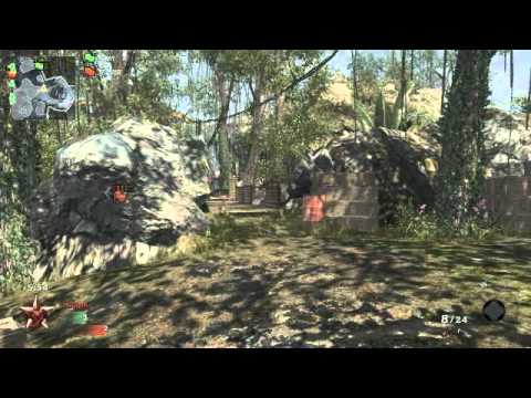 WIFLP - Black Ops Game Clip