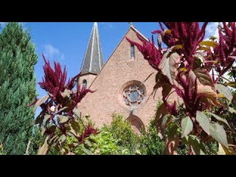 katholischer Gottesdienst im Freien aus Mehlingen 9. August AD 2020