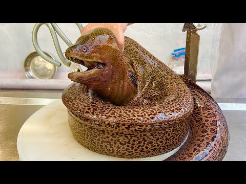 Moray eel 5kg, Moray eel for sashimi, grilled, salad, pan-fried sour soup // Vn Chef